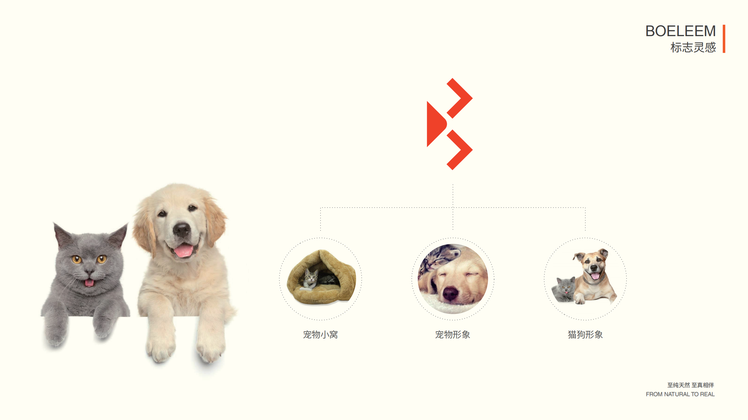 贝丽美标志提案_41.png